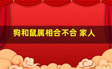 狗和鼠属相合不合 家人